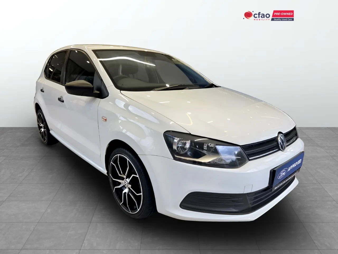 Polo Vivo